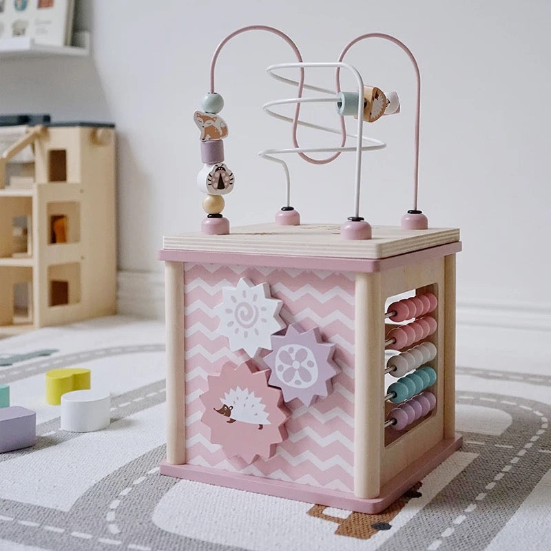 Activity Cube - Pink